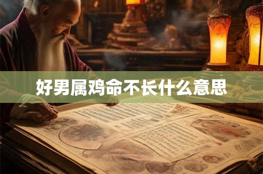 好男属鸡命不长什么意思