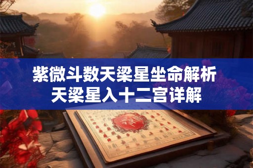 紫微斗数天梁星坐命解析 天梁星入十二宫详解
