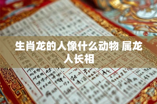 生肖龙的人像什么动物 属龙人长相