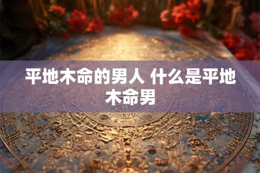 平地木命的男人 什么是平地木命男