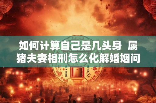 如何计算自己是几头身  属猪夫妻相刑怎么化解婚姻问题