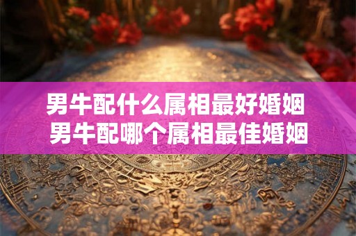 男牛配什么属相最好婚姻 男牛配哪个属相最佳婚姻