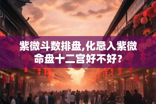紫微斗数排盘,化忌入紫微命盘十二宫好不好？
