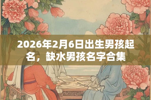 2026年2月6日出生男孩起名，缺水男孩名字合集