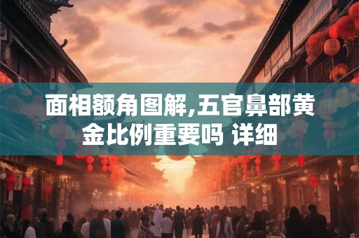 面相额角图解,五官鼻部黄金比例重要吗 详细