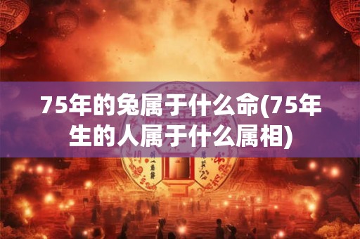 75年的兔属于什么命(75年生的人属于什么属相)
