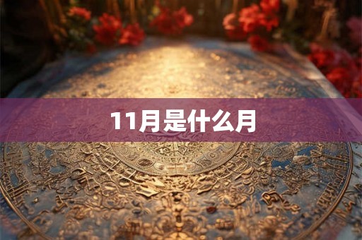 11月是什么月 11月是什么月