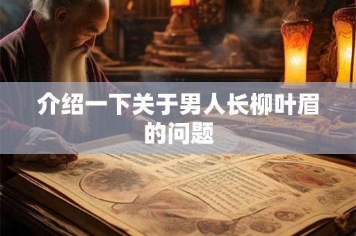 介绍一下关于男人长柳叶眉的问题