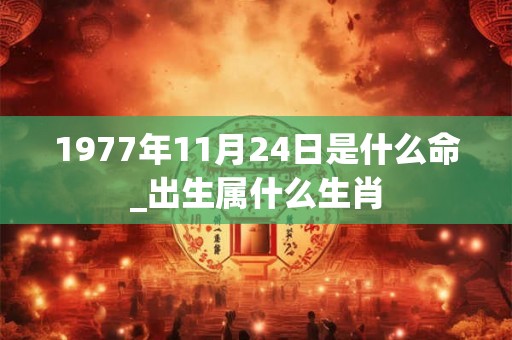 1977年11月24日是什么命_出生属什么生肖