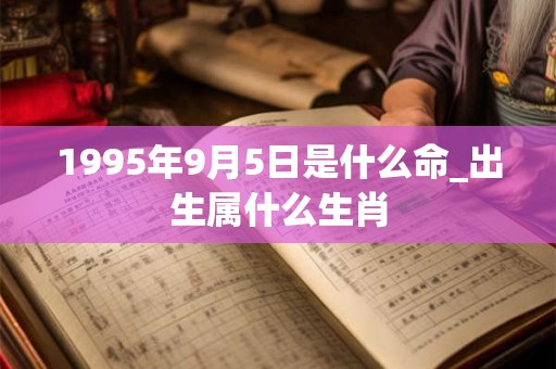 1995年9月5日是什么命_出生属什么生肖