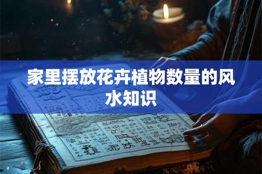 家里摆放花卉植物数量的风水知识