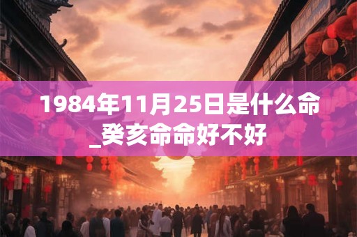 1984年11月25日是什么命_癸亥命命好不好