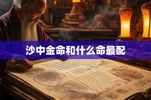 沙中金命和什么命最配