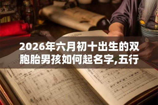 2026年六月初十出生的双胞胎男孩如何起名字,五行属什么？