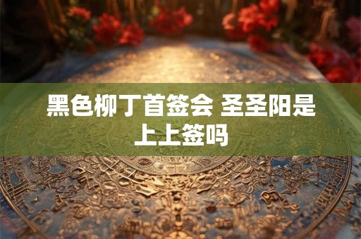 黑色柳丁首签会 圣圣阳是上上签吗 黑色柳丁首签会 圣圣阳是上上签吗