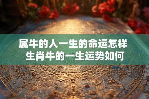 属牛的人一生的命运怎样 生肖牛的一生运势如何