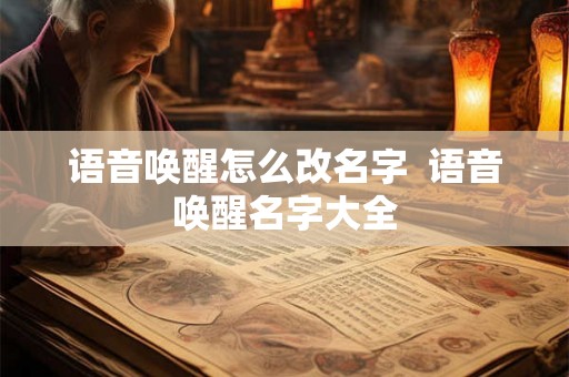 语音唤醒怎么改名字  语音唤醒名字大全