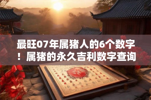 最旺07年属猪人的6个数字！属猪的永久吉利数字查询