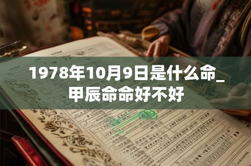 1978年10月9日是什么命_甲辰命命好不好