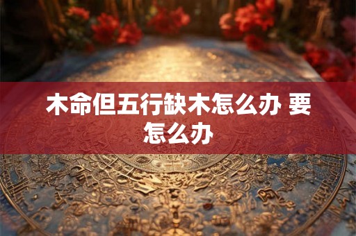 木命但五行缺木怎么办 要怎么办