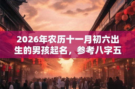 2026年农历十一月初六出生的男孩起名，参考八字五行
