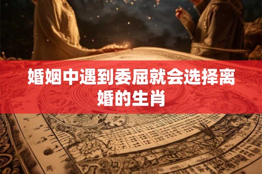 婚姻中遇到委屈就会选择离婚的生肖