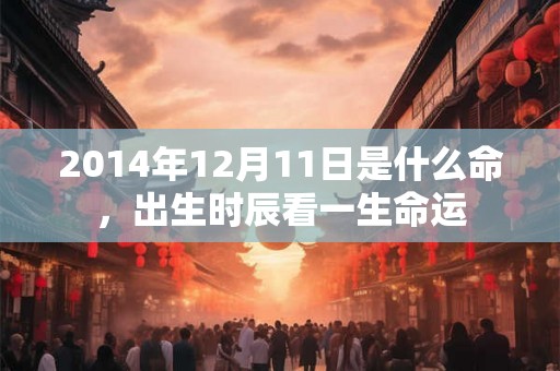 2014年12月11日是什么命，出生时辰看一生命运