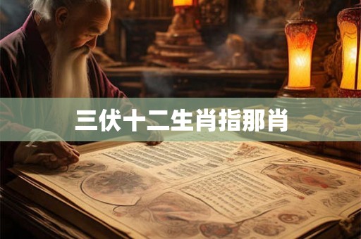 三伏十二生肖指那肖