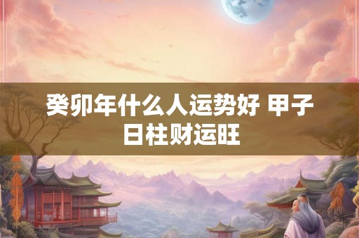 癸卯年什么人运势好 甲子日柱财运旺