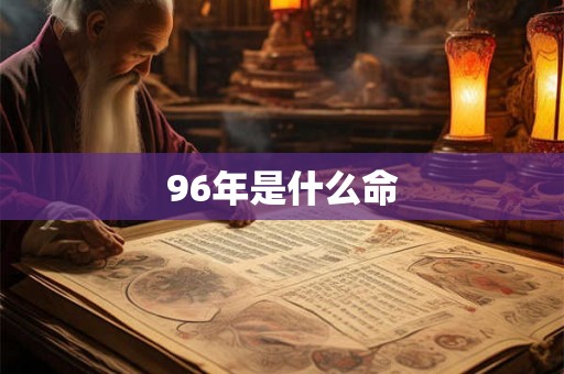 96年是什么命