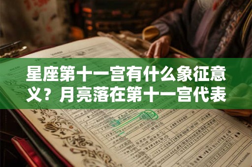星座第十一宫有什么象征意义？月亮落在第十一宫代表什么？
