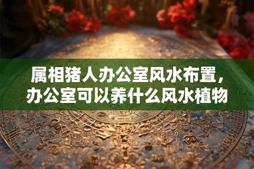 属相猪人办公室风水布置，办公室可以养什么风水植物？
