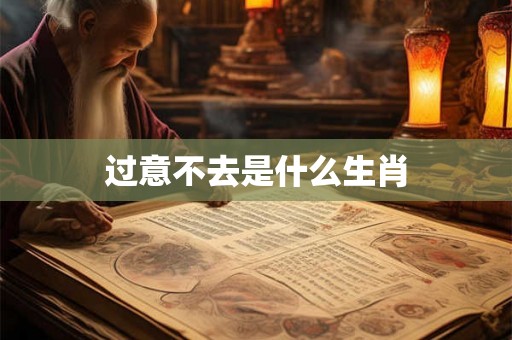 过意不去是什么生肖