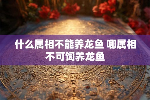 什么属相不能养龙鱼 哪属相不可饲养龙鱼