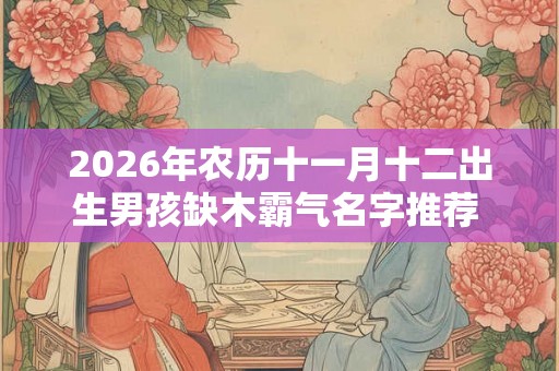 2026年农历十一月十二出生男孩缺木霸气名字推荐  带木有寓意起名用字