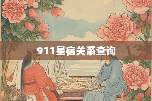 911星宿关系查询