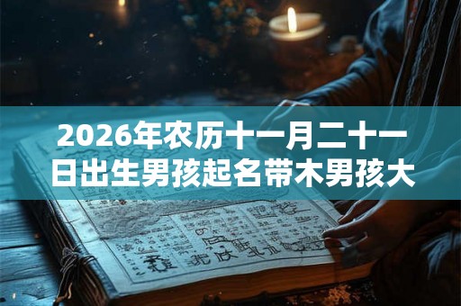 2026年农历十一月二十一日出生男孩起名带木男孩大气名字