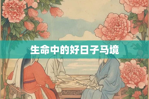 生命中的好日子马境