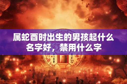属蛇酉时出生的男孩起什么名字好，禁用什么字