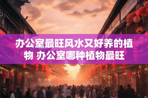 办公室最旺风水又好养的植物 办公室哪种植物最旺