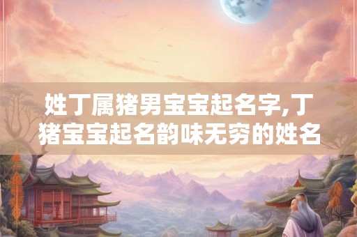 姓丁属猪男宝宝起名字,丁猪宝宝起名韵味无穷的姓名之旅