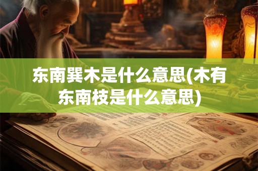 东南巽木是什么意思(木有东南枝是什么意思)