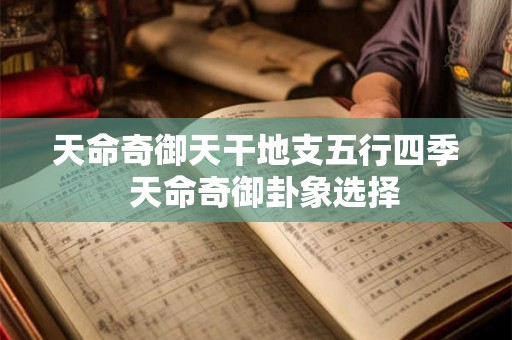 天命奇御天干地支五行四季  天命奇御卦象选择