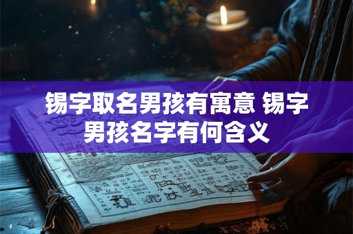 锡字取名男孩有寓意 锡字男孩名字有何含义 锡字取名男孩有寓意 锡字男孩名字有何含义