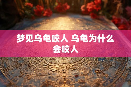 梦见乌龟咬人 乌龟为什么会咬人