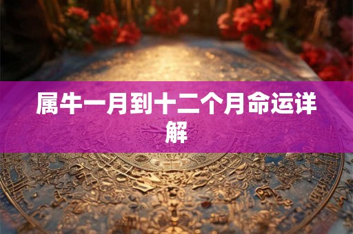 属牛一月到十二个月命运详解