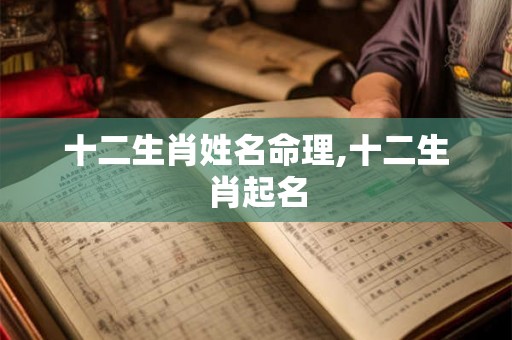十二生肖姓名命理,十二生肖起名