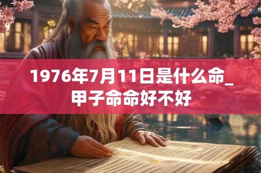 1976年7月11日是什么命_甲子命命好不好