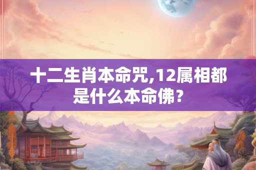 十二生肖本命咒,12属相都是什么本命佛？