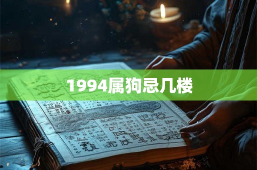 1994属狗忌几楼